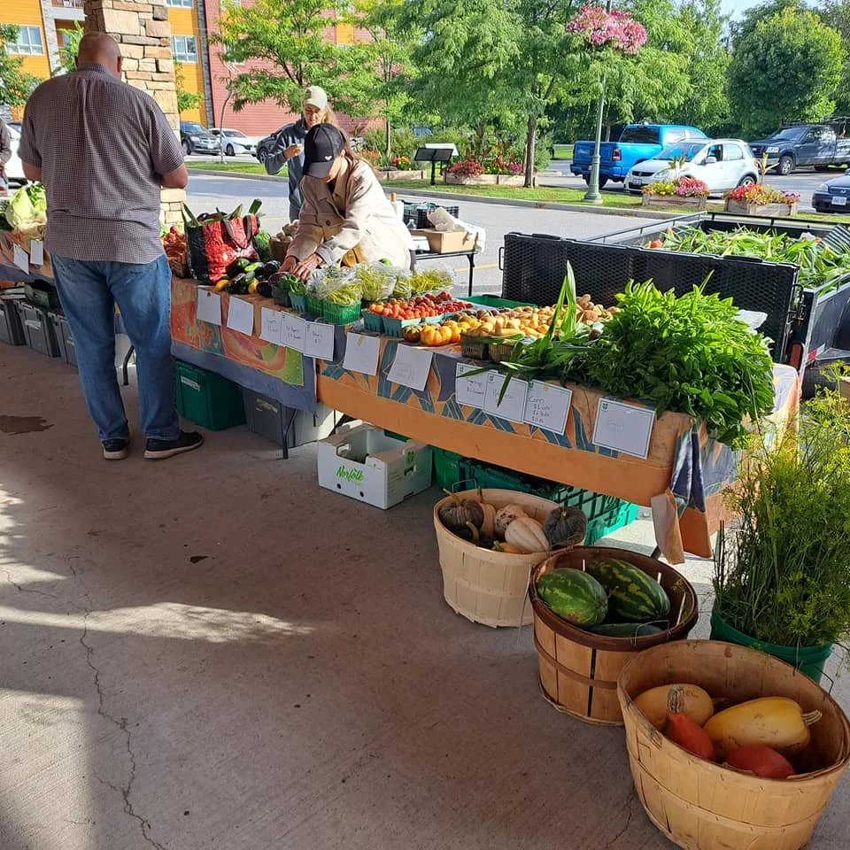 Carleton Place Farmers’ Market: Fresh Local Flavours Near the Cottage